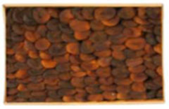 Kuru Kayısı